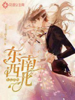 轩尼斯门窗是一线品牌吗?一线品牌的卓越之选